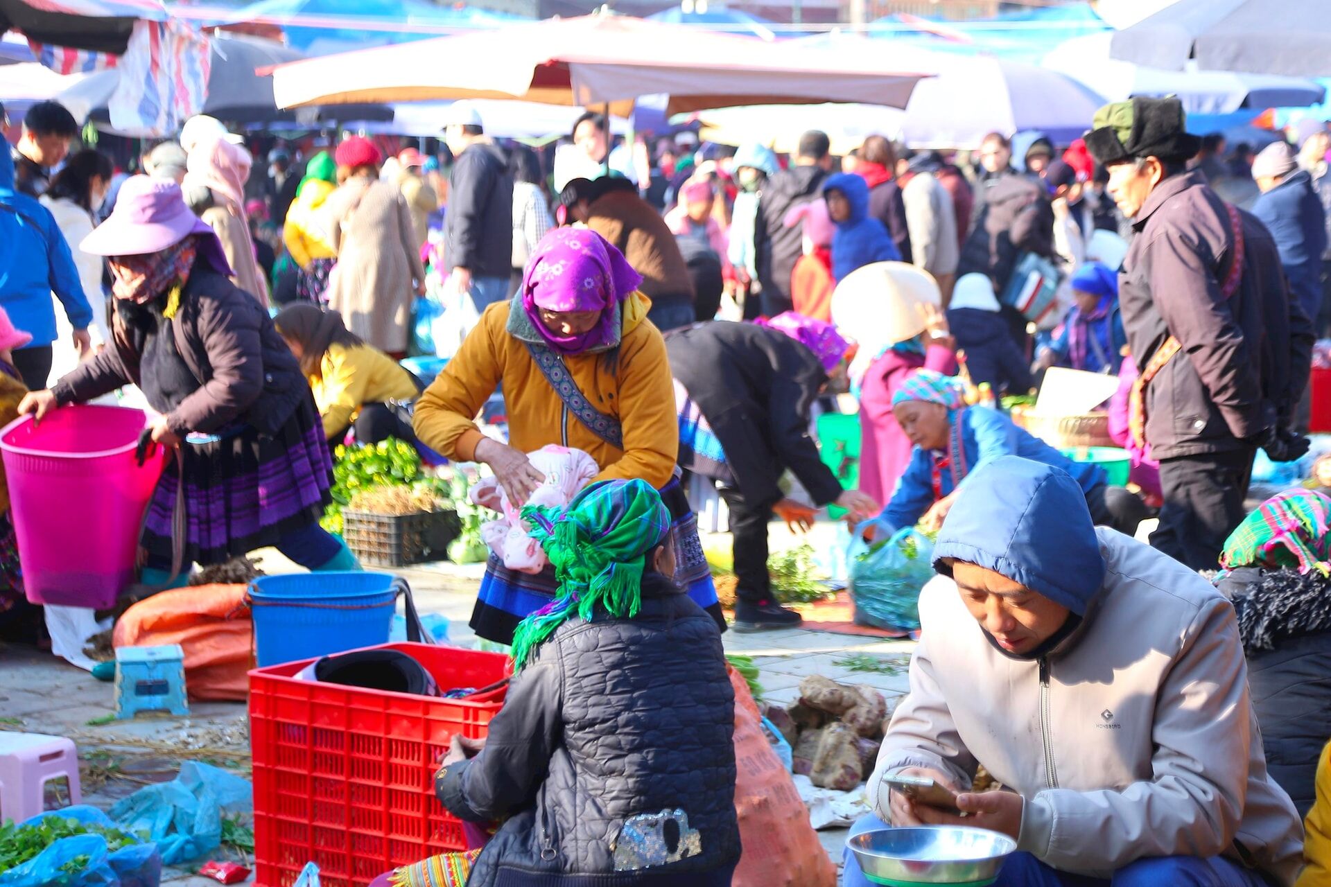 Bac Ha Sunday Market